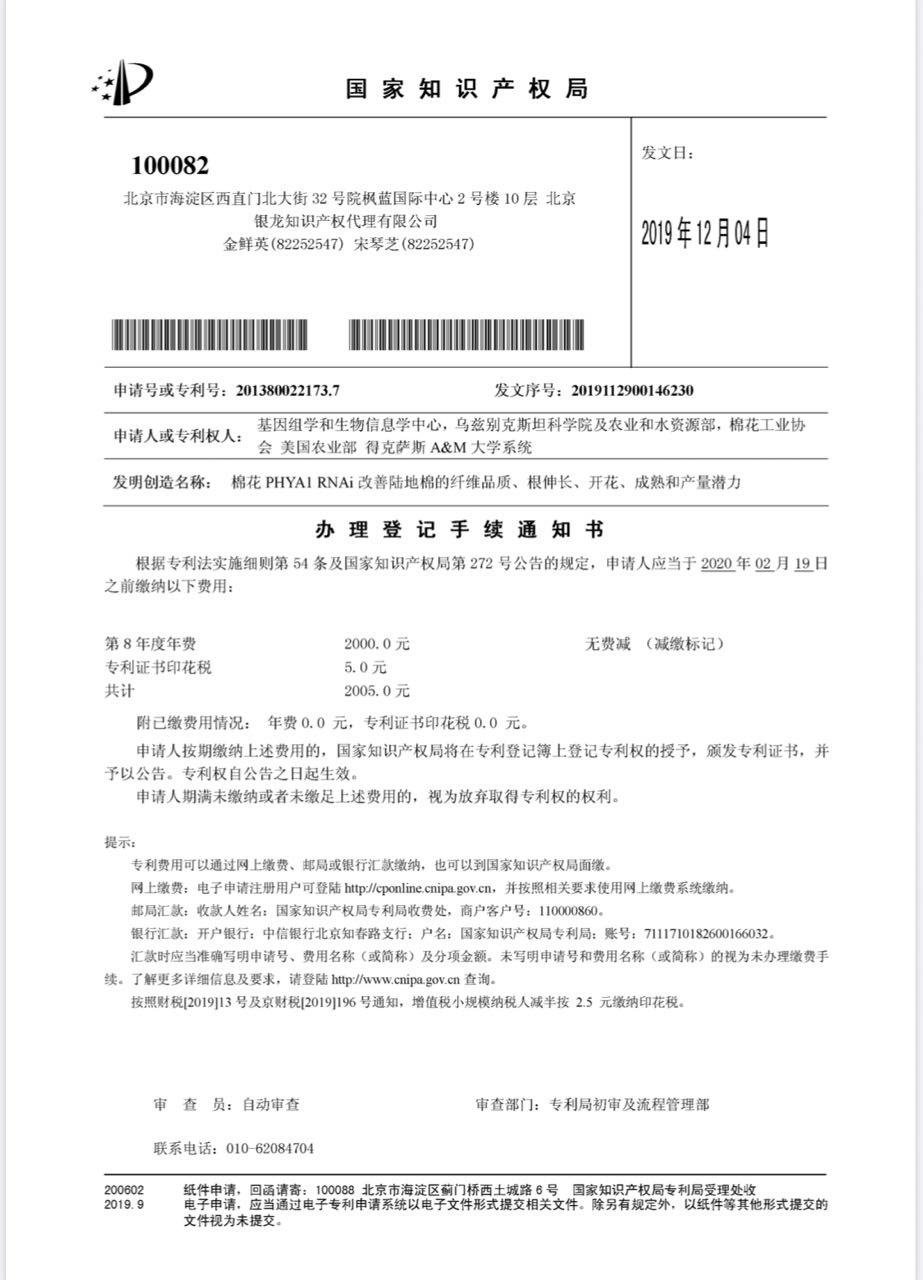 Китай-патент на РНК интерференцию