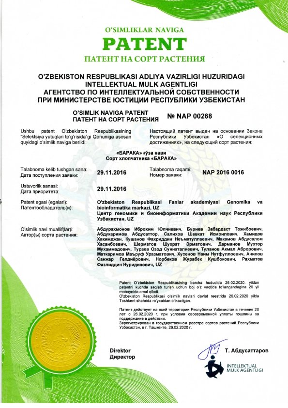 патент Барака NAP 00268_001