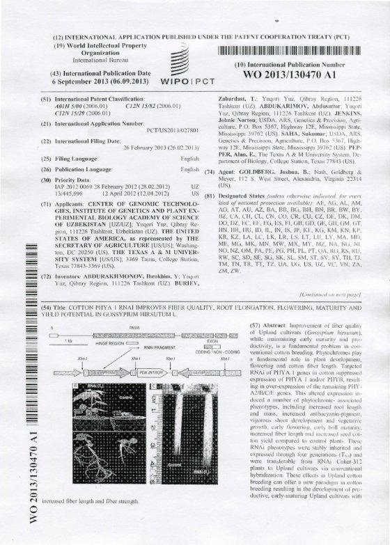 РСТ международный патент188_001